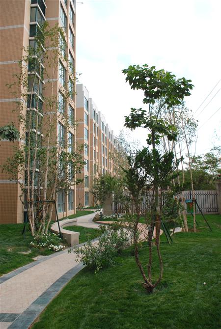 环球360嘉园二期局部景观雏形鉴赏（亲景实拍）