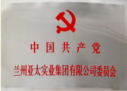 兰州环球360实业集团有限公司成立党委会专题